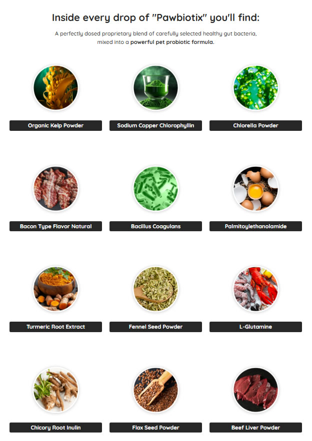 PawBiotix Reviews: Optimize Your Dog’s Gut-Brain Axis with Zero Complaints